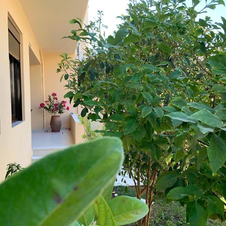 Antonis Chania City Family House Esterno foto